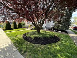Affordable Landscaping Solutions's image