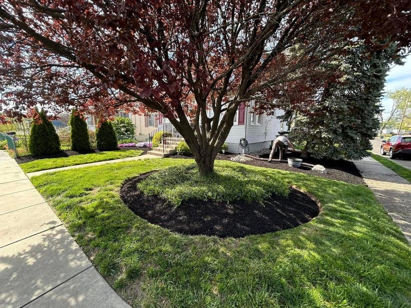 Affordable Landscaping Solutions's image